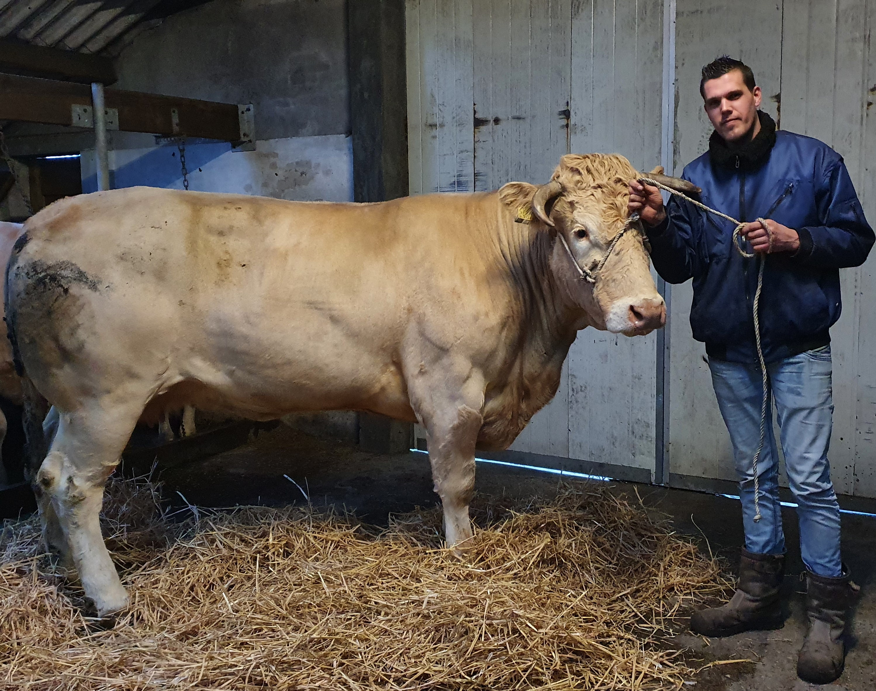 Jong en gek op Blond Erik-Jan Mostert
