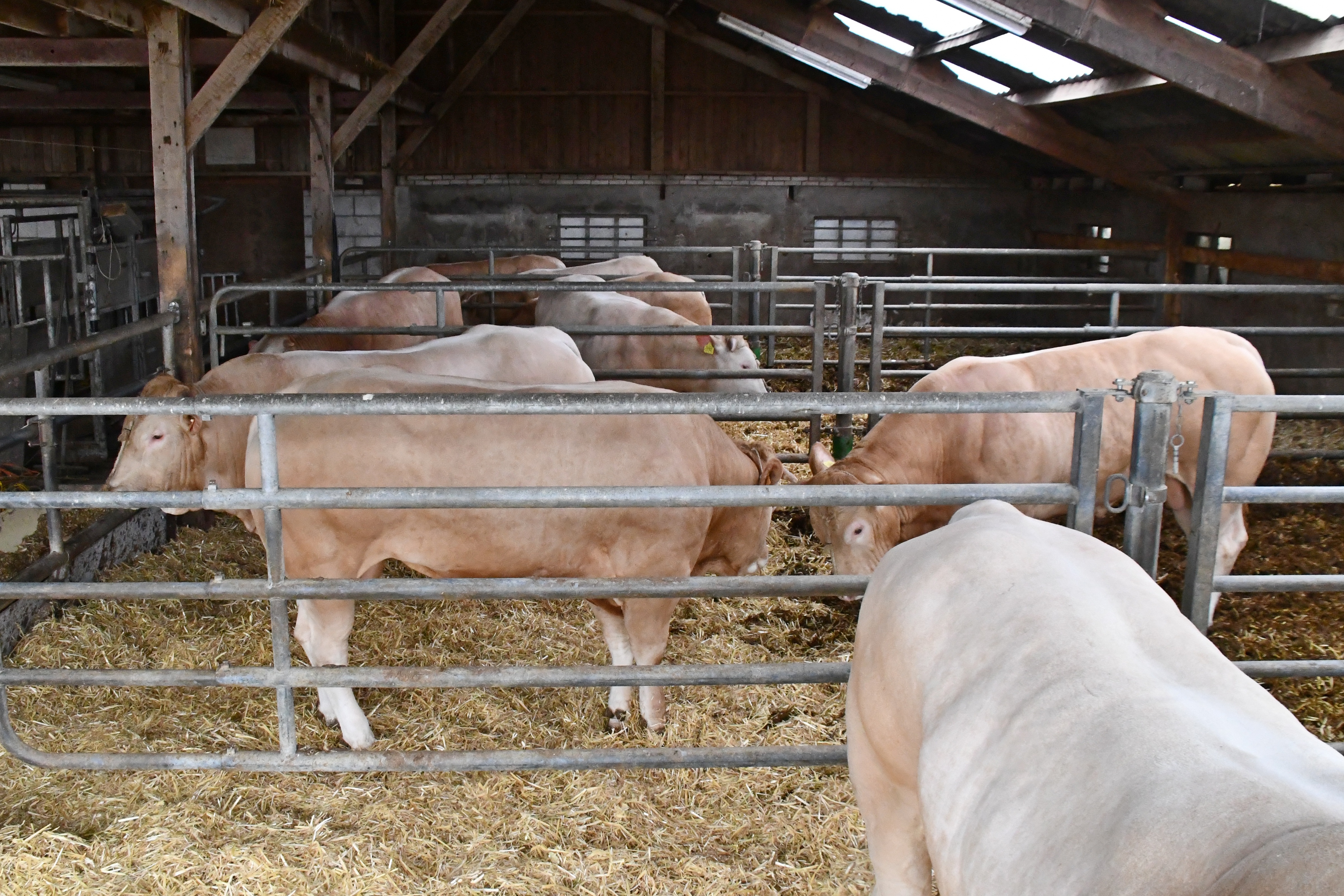 Eerste kijkdag COT al goed bezocht