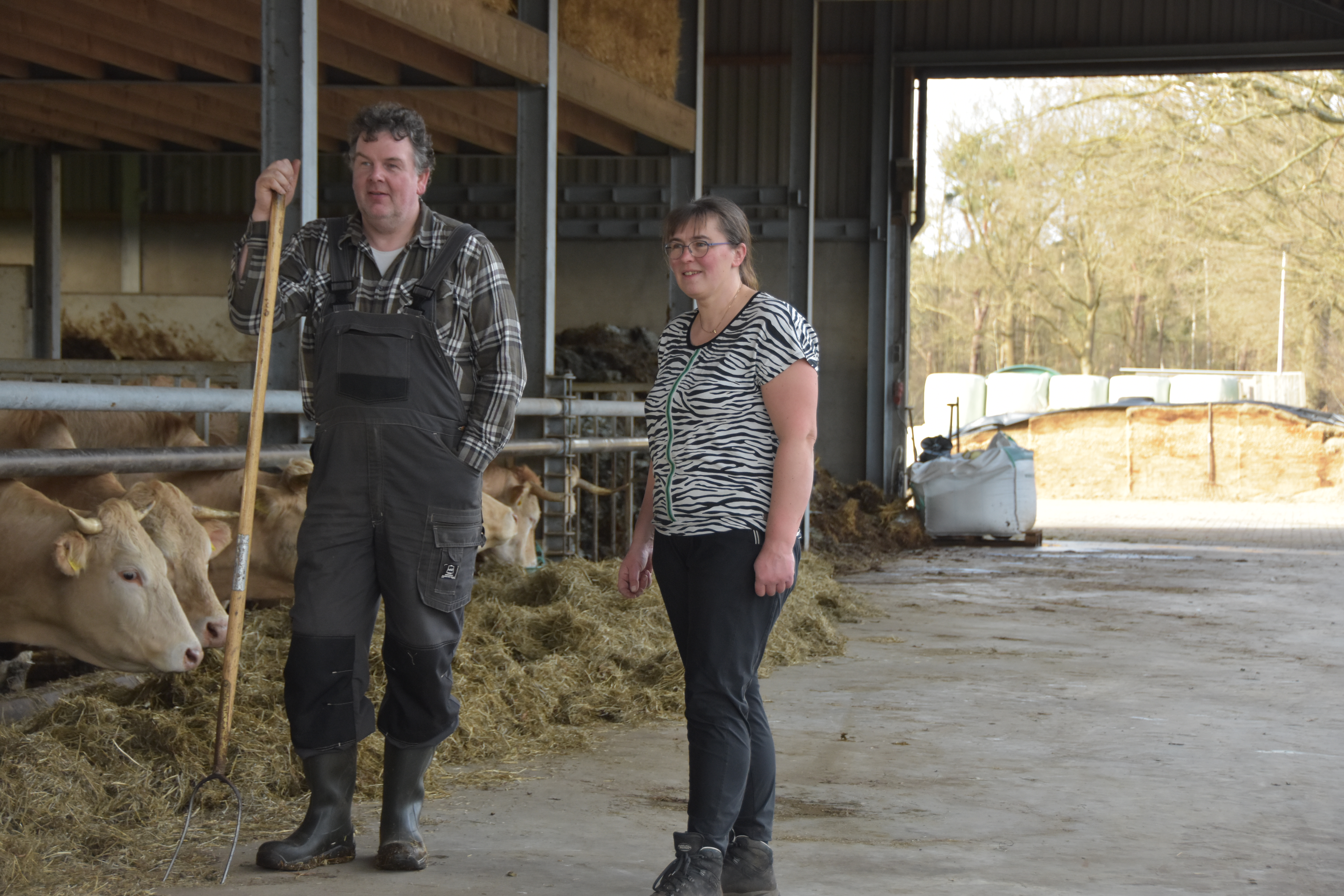 Familie Venhuis houdt Blondes in dienst van de natuur