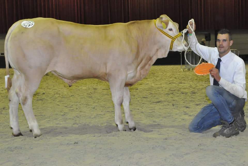 Vol spanning wacht Erik-Jan Mostert af