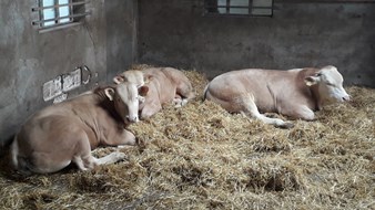 COT april 2021