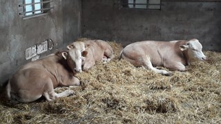 COT april 2021