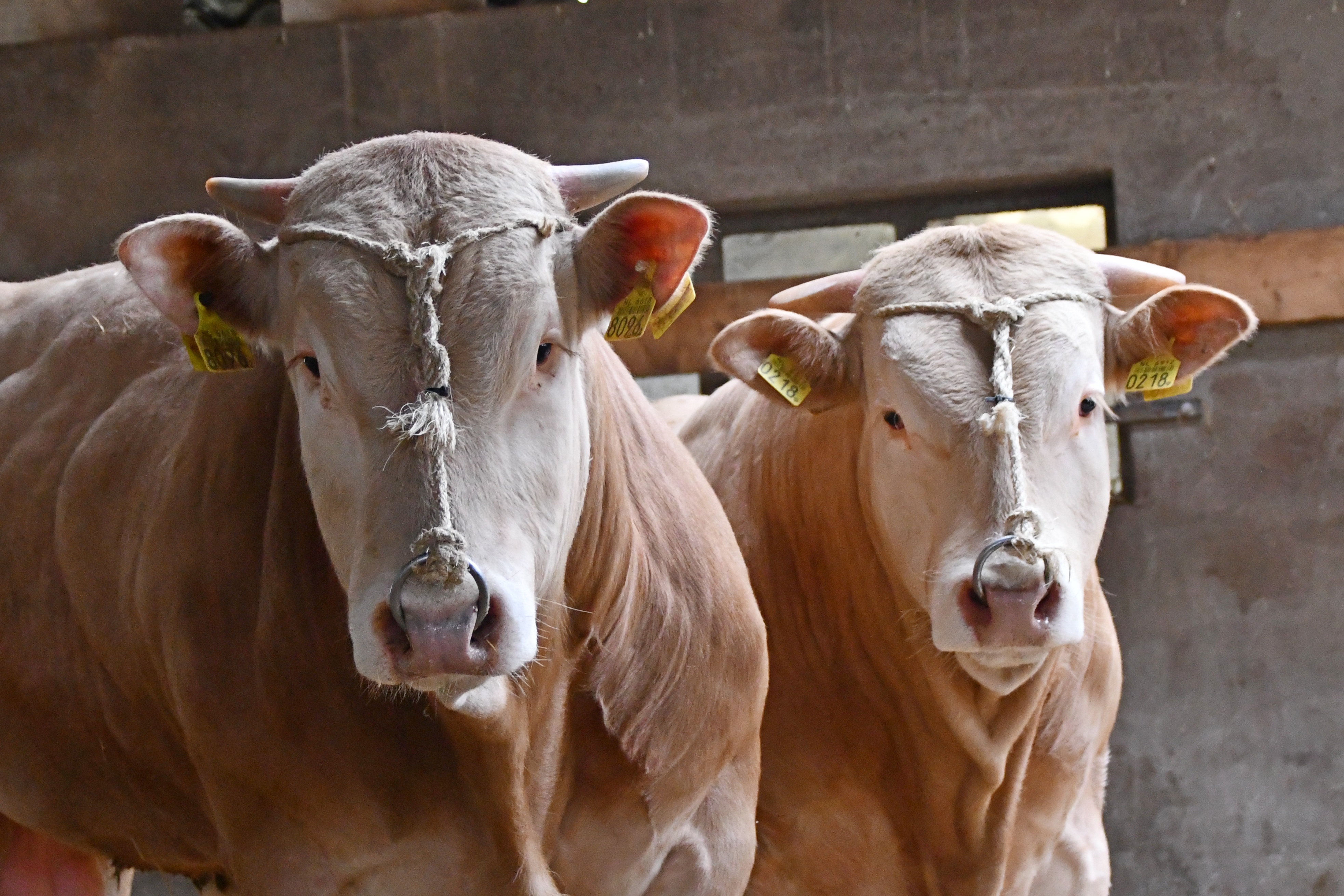 Kijkje bij de nieuwe lichting op het COT