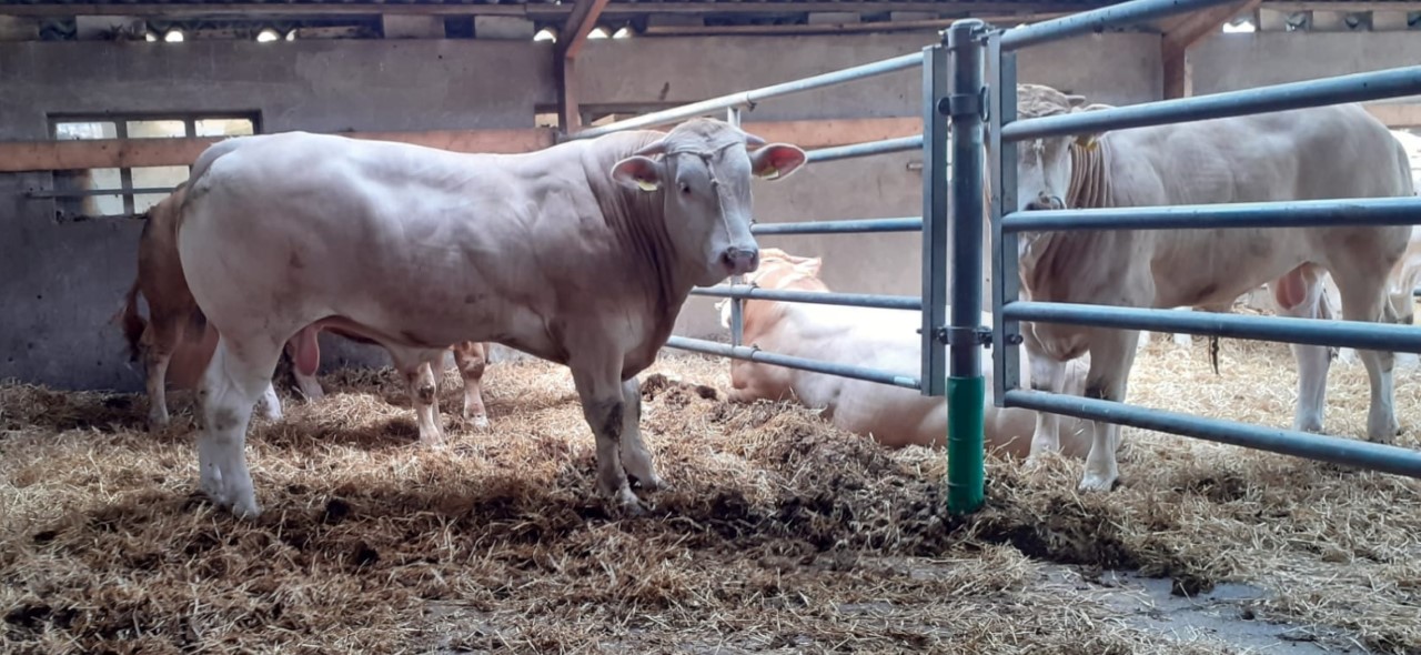 Vandaag kijkdag COT voor de eigenaren