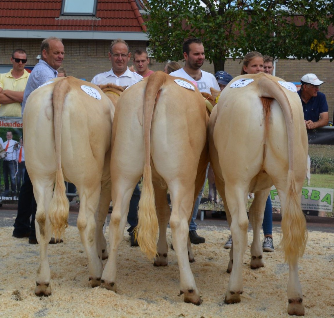Videokeuring voor bedrijfsgroepen