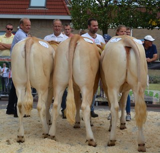 bedrijfsgroep
