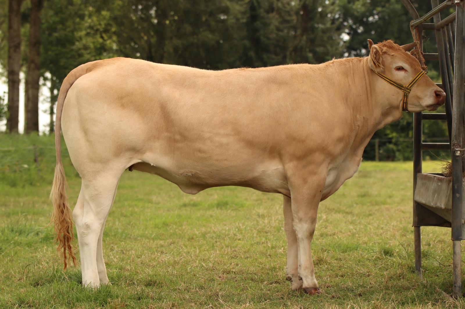 De Kampioenen van de fotokeuring in Enter