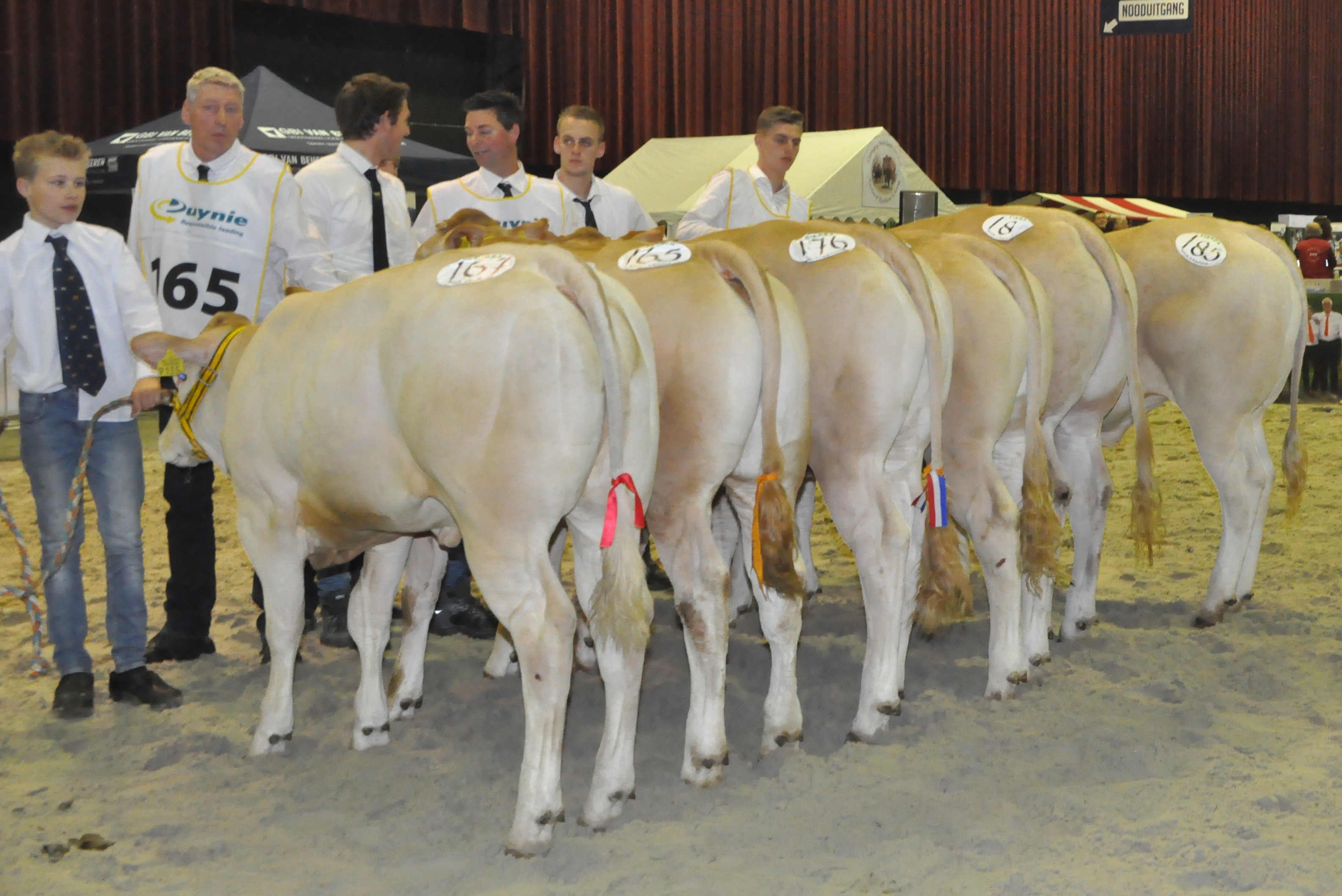 Uw fokkerij in de picture