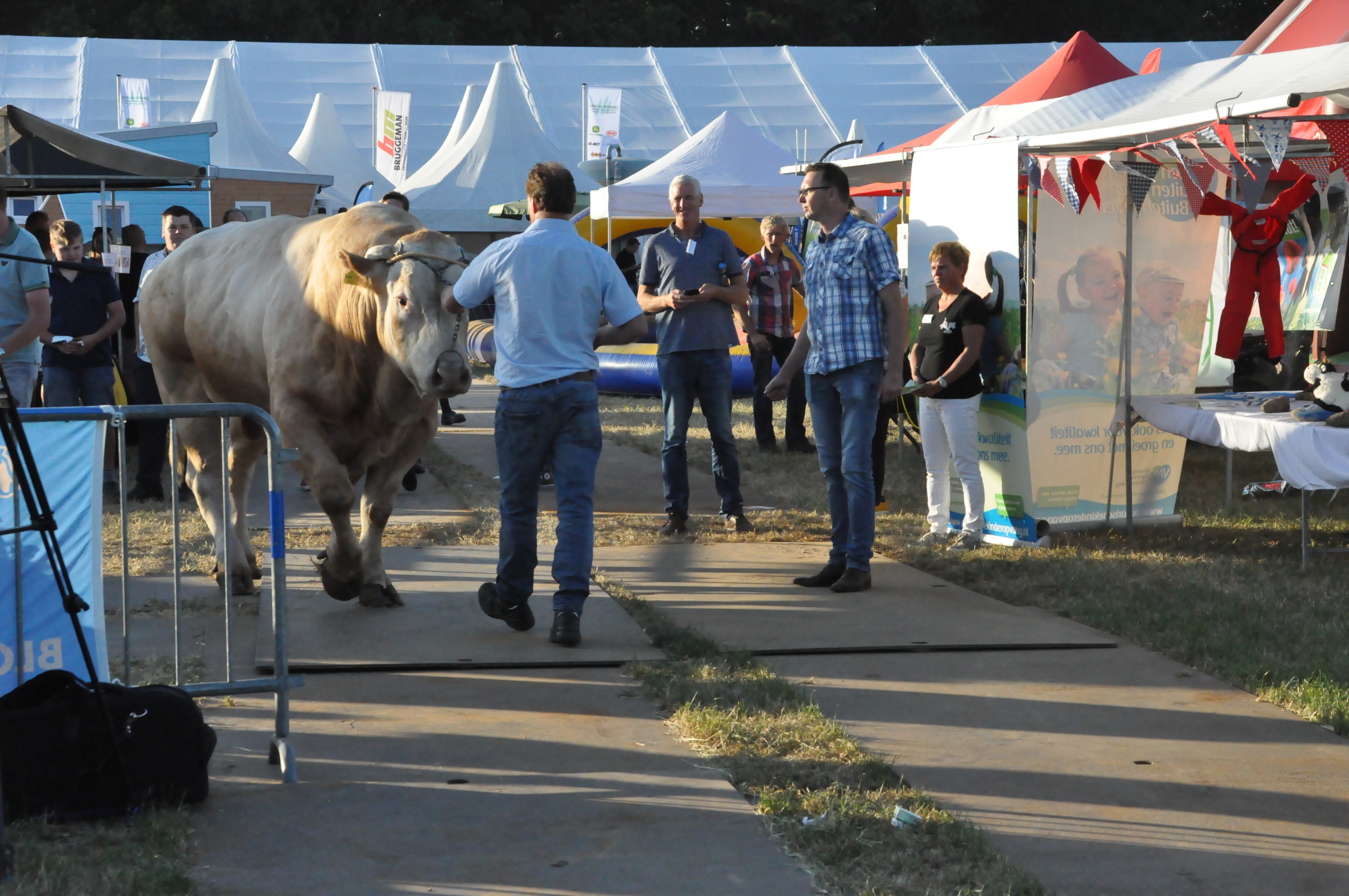 Stamboek op de Landbouwvakdagen Oost-Nederland in Enter