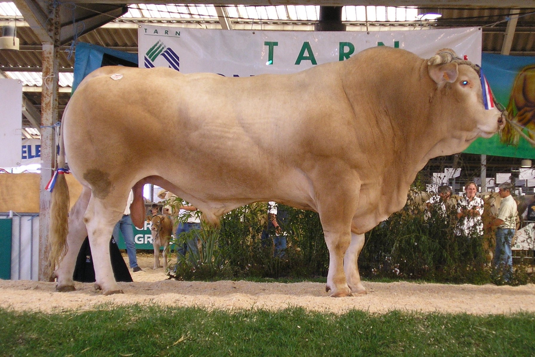 IBOVAL indexen september