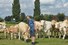 Raalte zoon