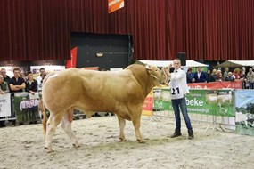 Jannes Kip met BAC Jade