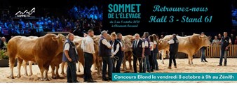 Sommet