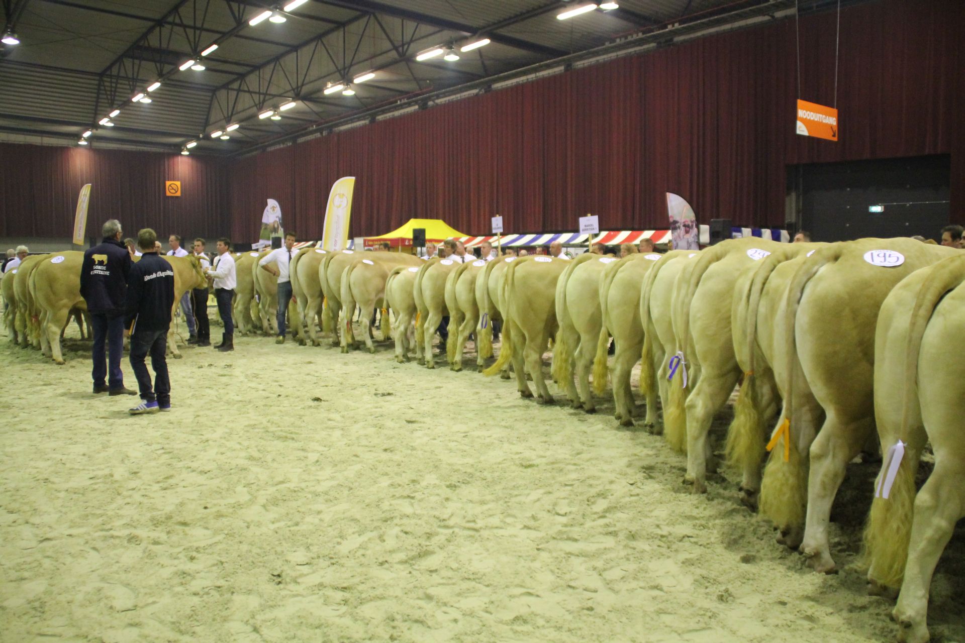 Stemmen op uw favoriete bedrijfsgroep van de videokeuring