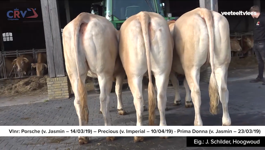 De Woeste Hoeve winnaar CRV videokeuring bedrijfsgroepen