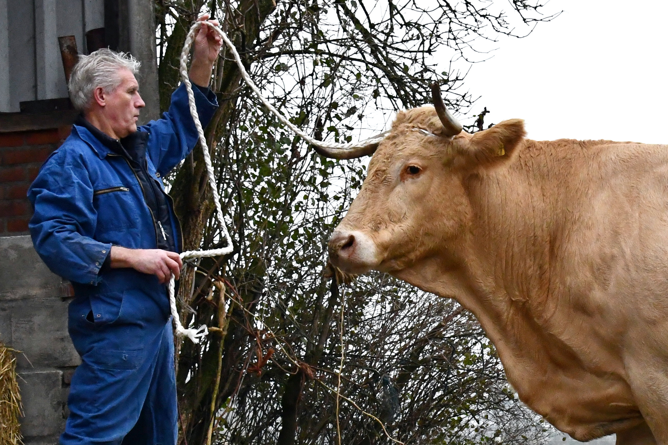 De fokkerijvisie van Henk Visscher