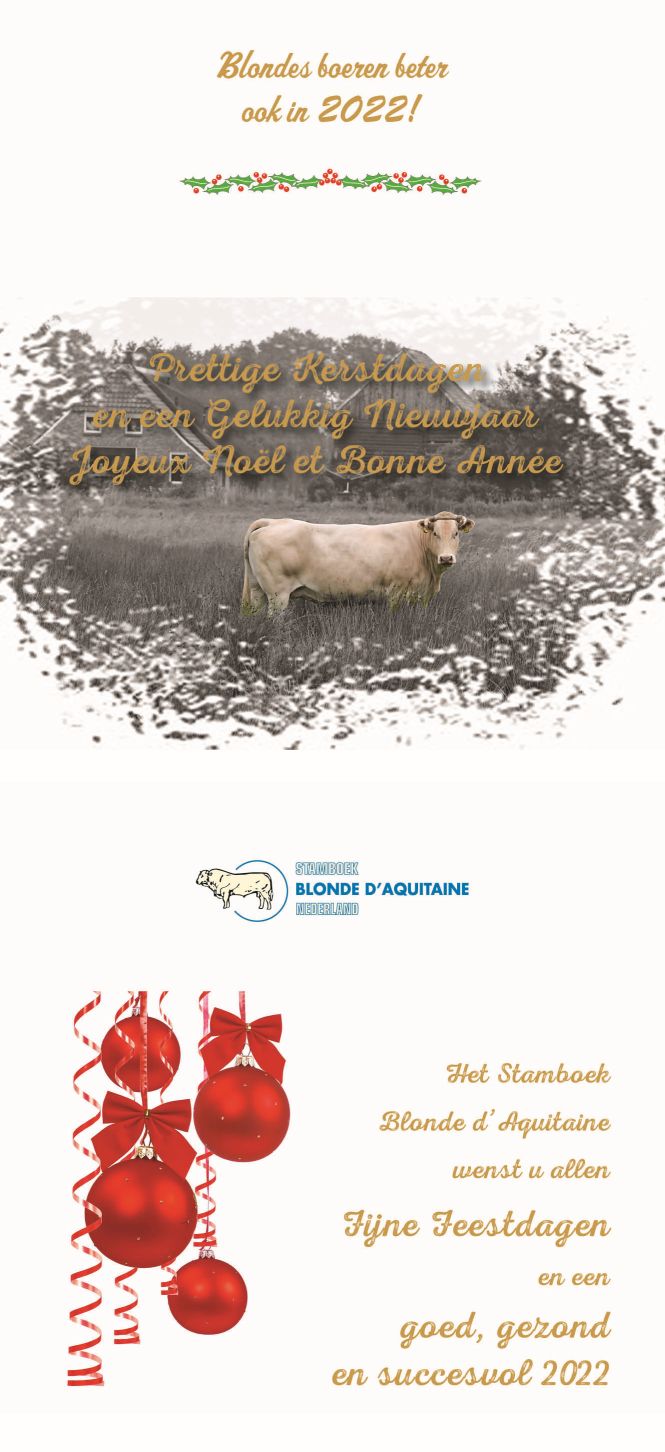 Fijne Feestdagen en een goed, gezond en succesvol 2022