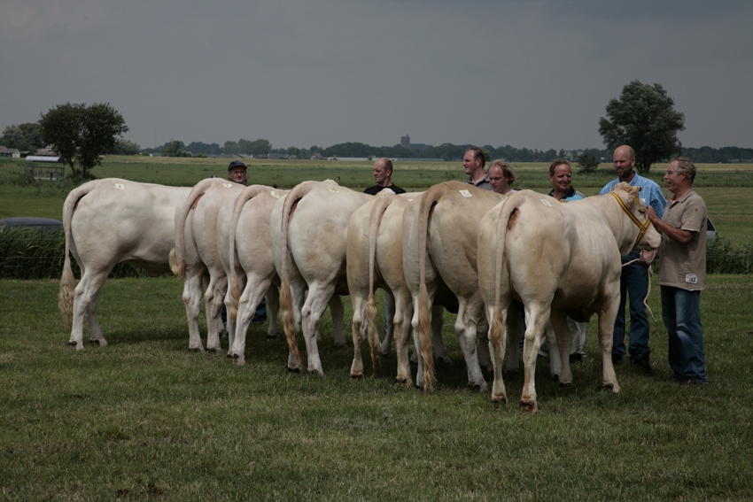 Jubileumfeest in 2022