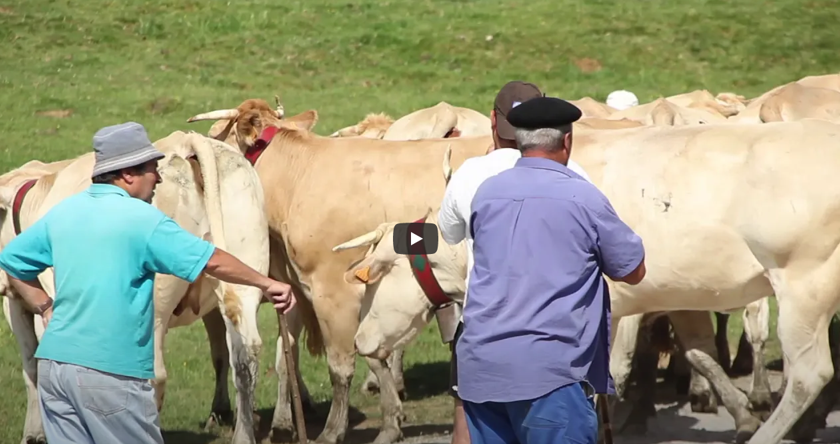 De Blonde in de Pyreneeën