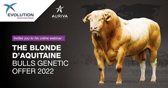 Auriva webinar
