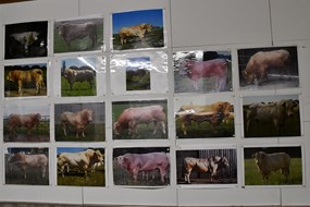 Jansen oude foto&#39;s
