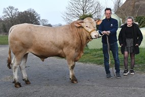 veilingtopper BAC Radja met koper L de Bat