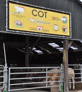 cot 2020