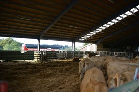 excursie Frankrijk