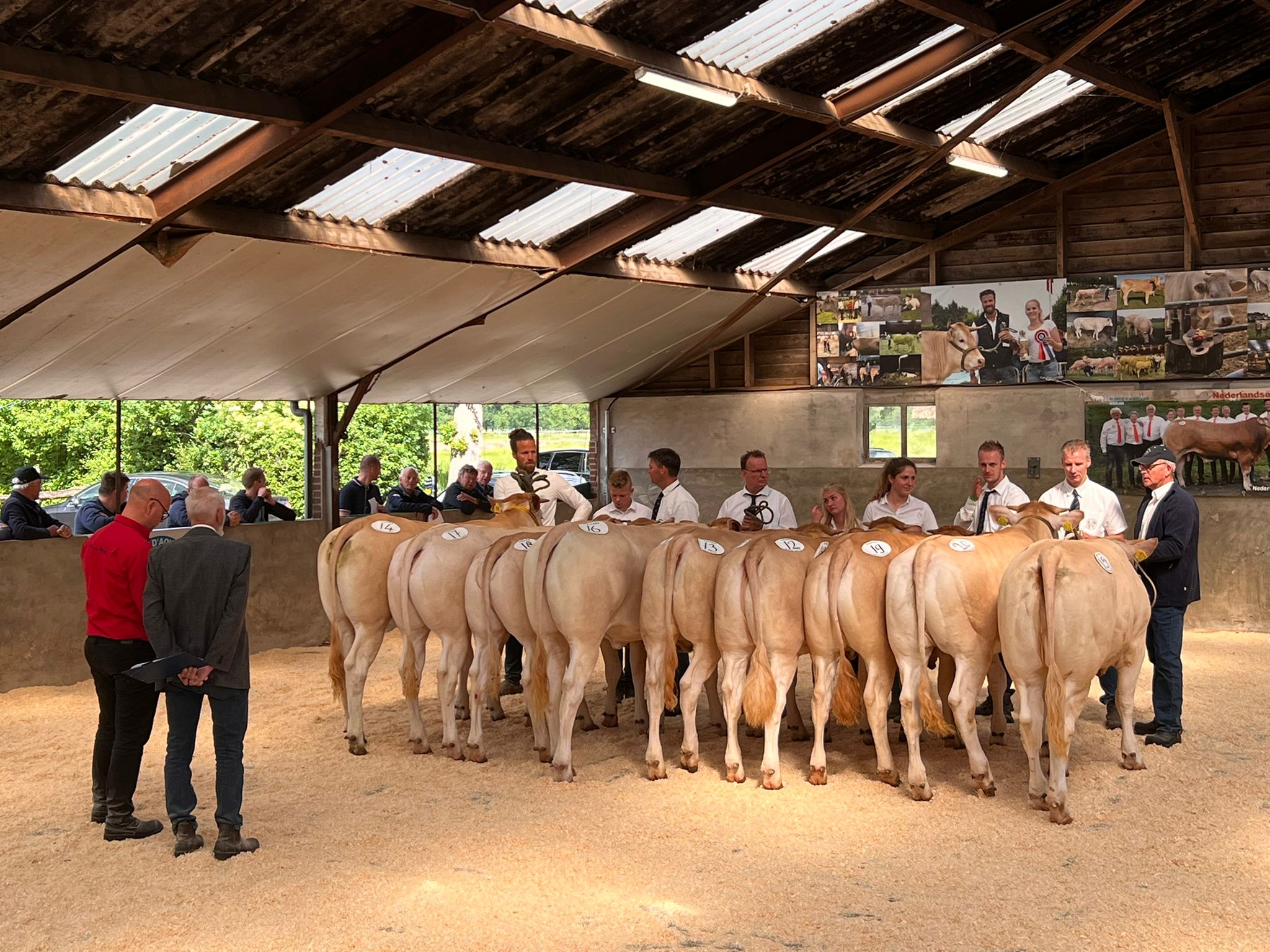 Nagenieten van de Jongveeshow 2022… 