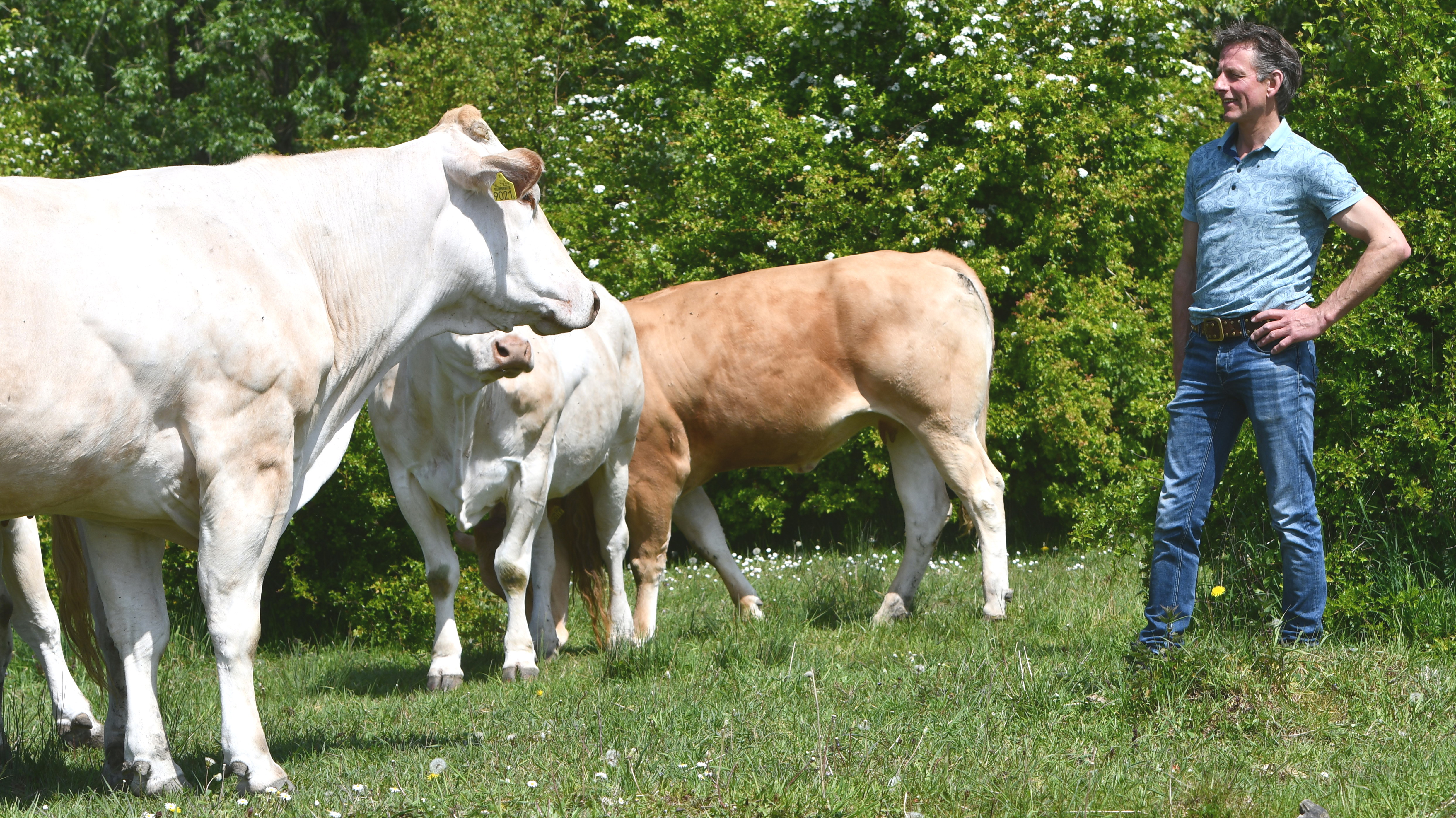Fokkerijvisie van Marcel Gerritsen