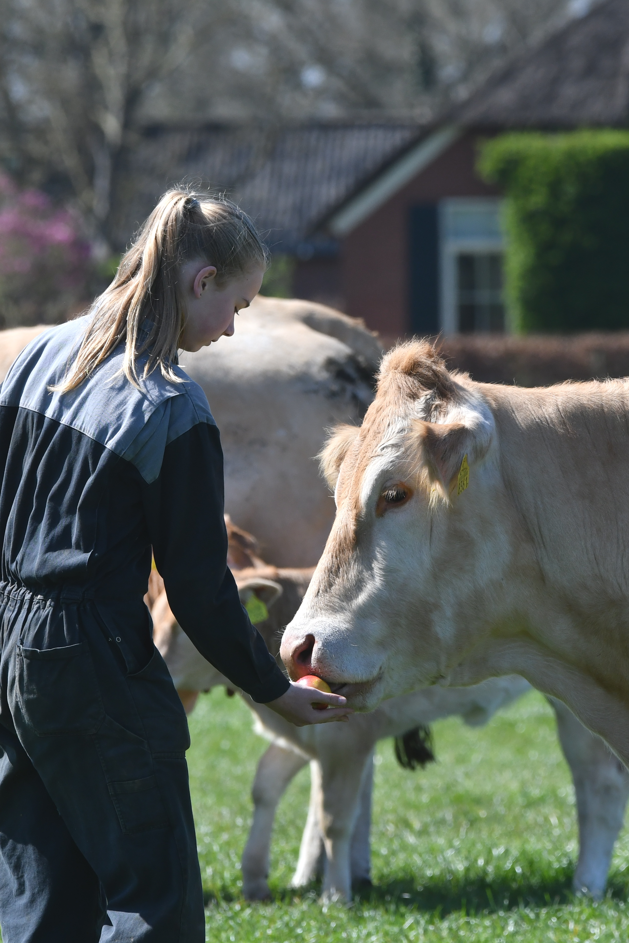 Lotte Hulsman in de Blonde