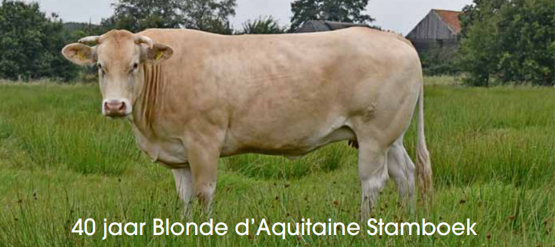 Jubileumfeest in aantocht