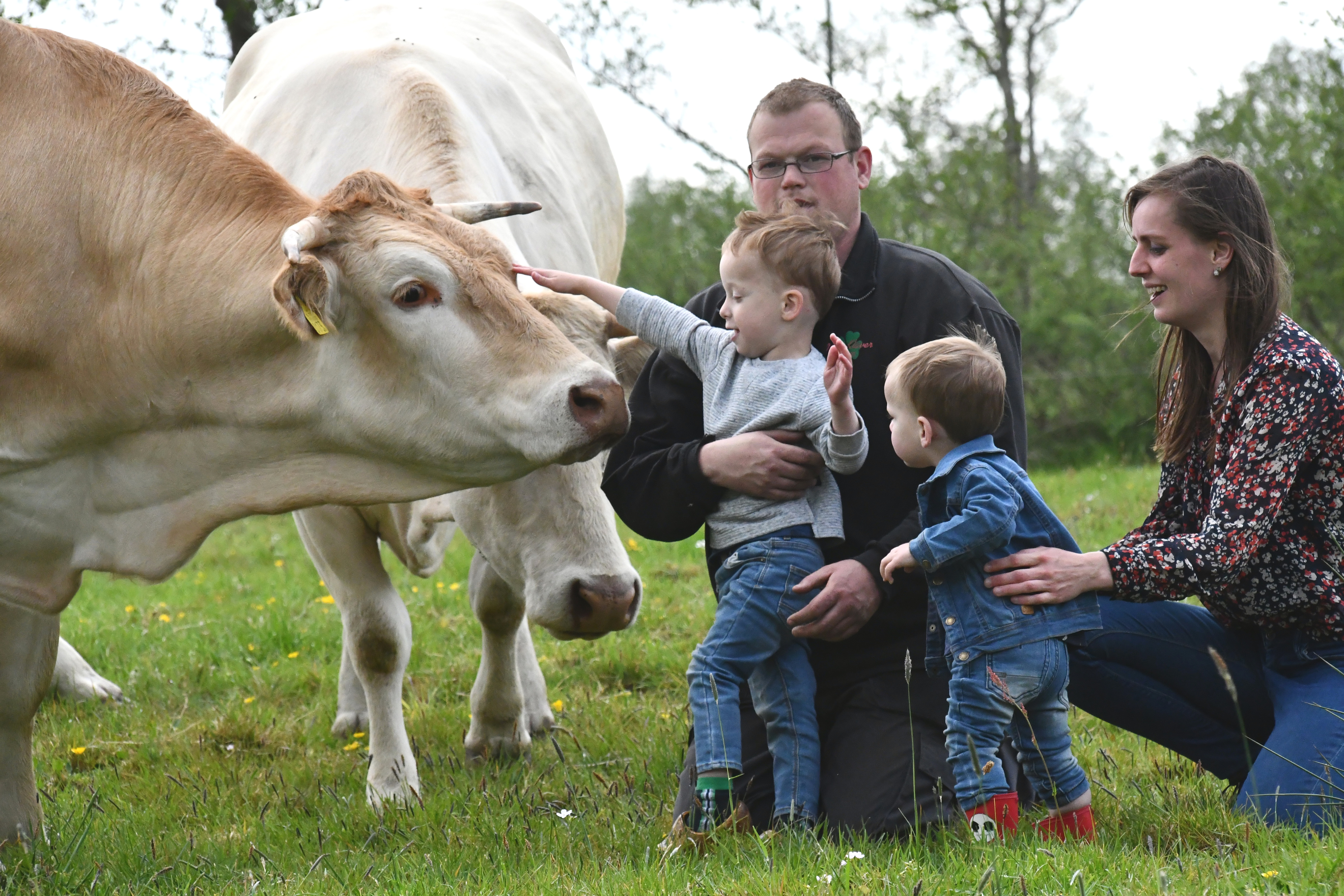 De vooruitgang bij Doreen en Haaije Sikkema