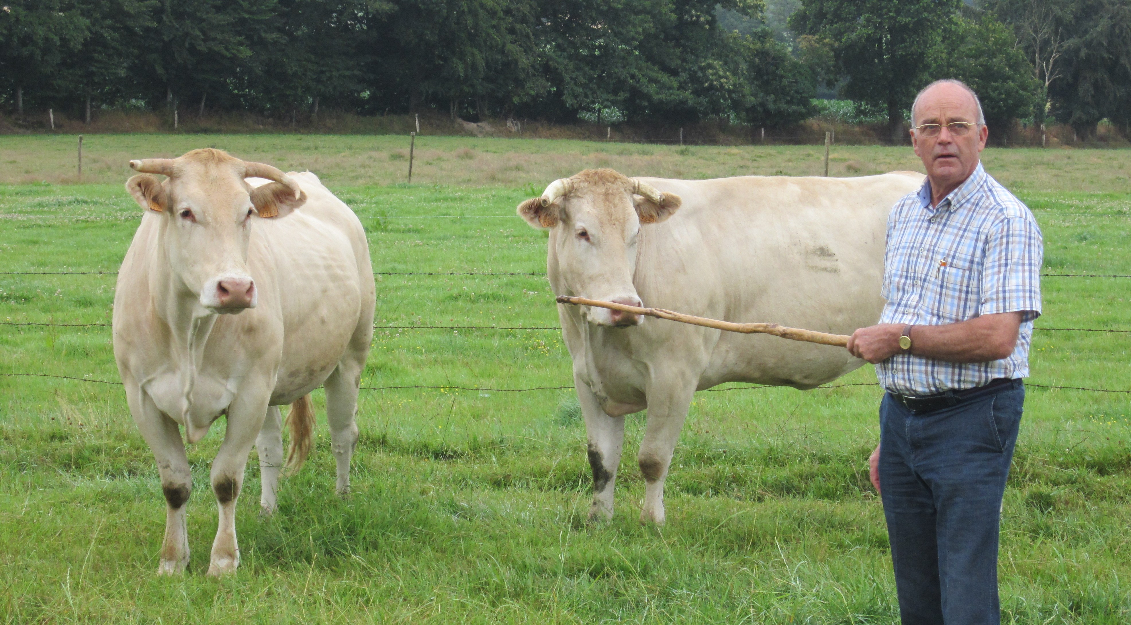 Frans Verschuuren overleden