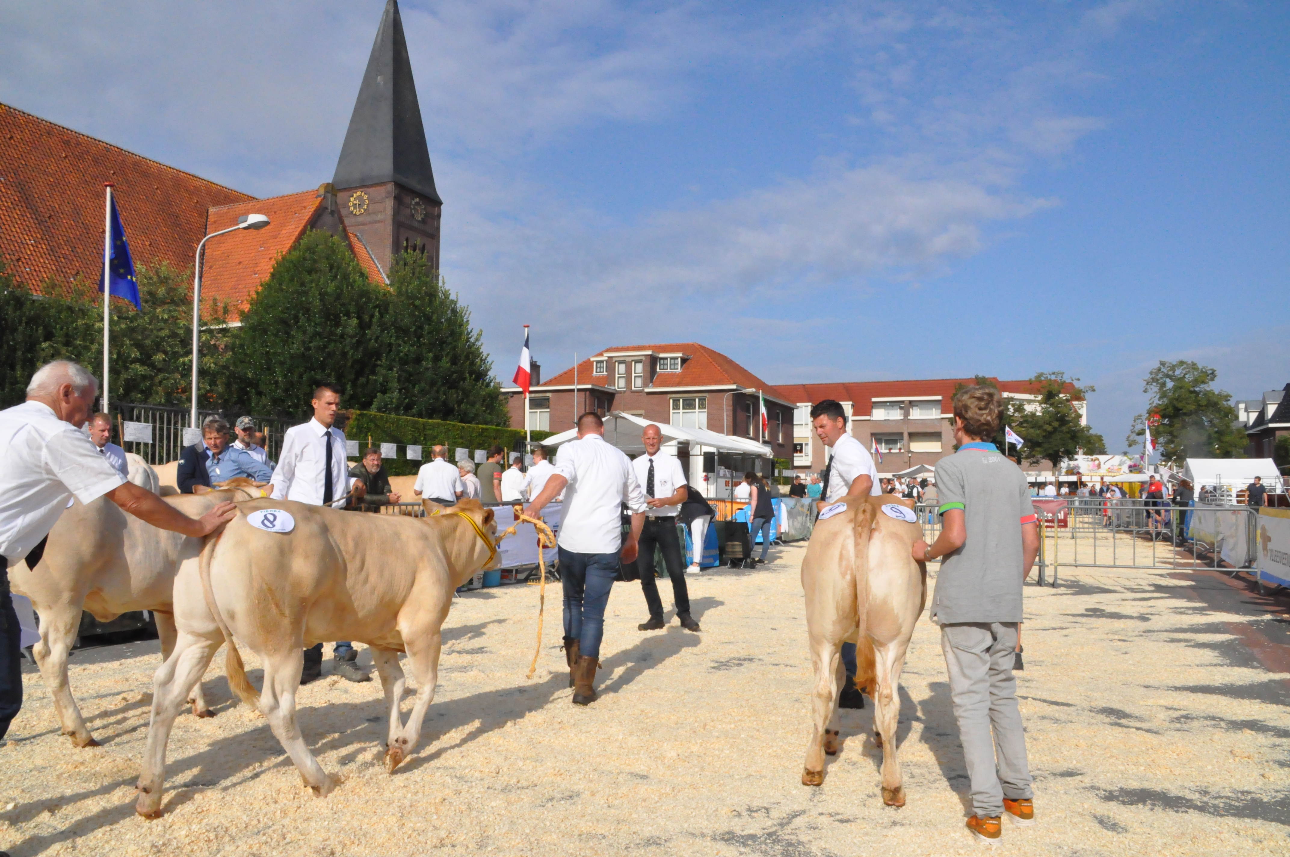 Rubrieken keuring in Enter