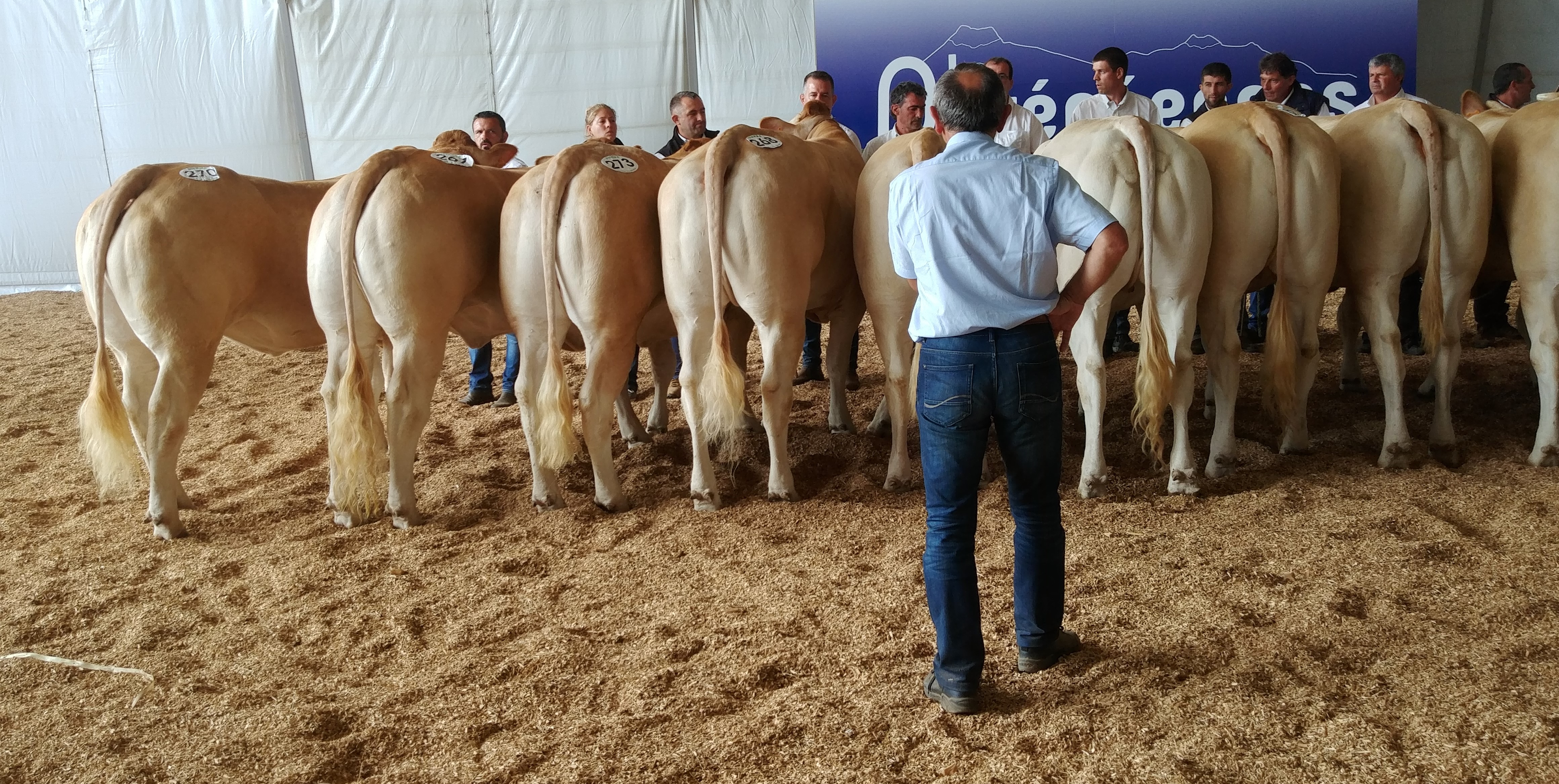 Franse Nationale 2023 in Chateaubriant