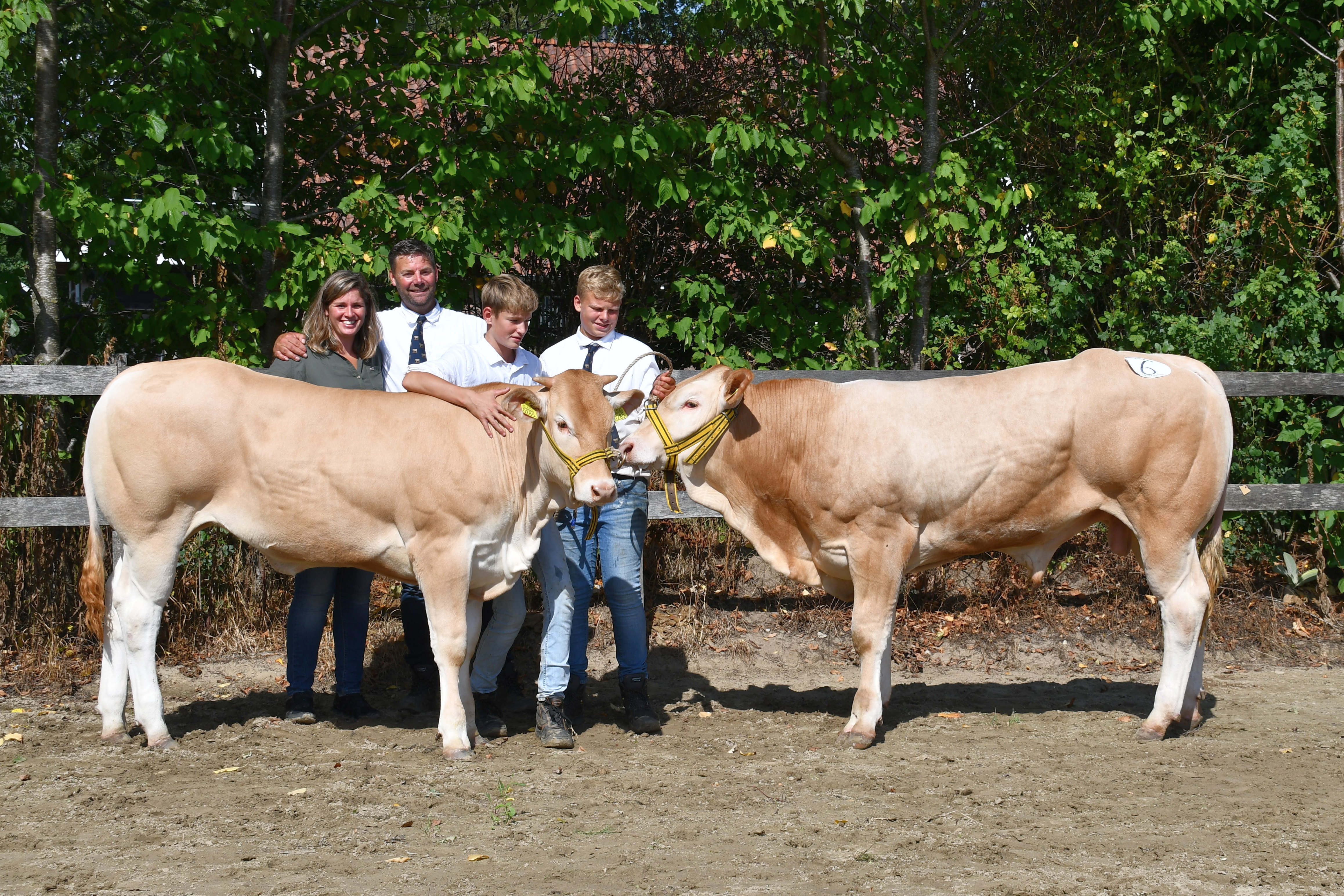 Structure van de Woeste Hoeve en Selune van de Woeste Hoeve Algemeen Kampioen