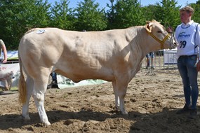 Enter Petula vd WH 1