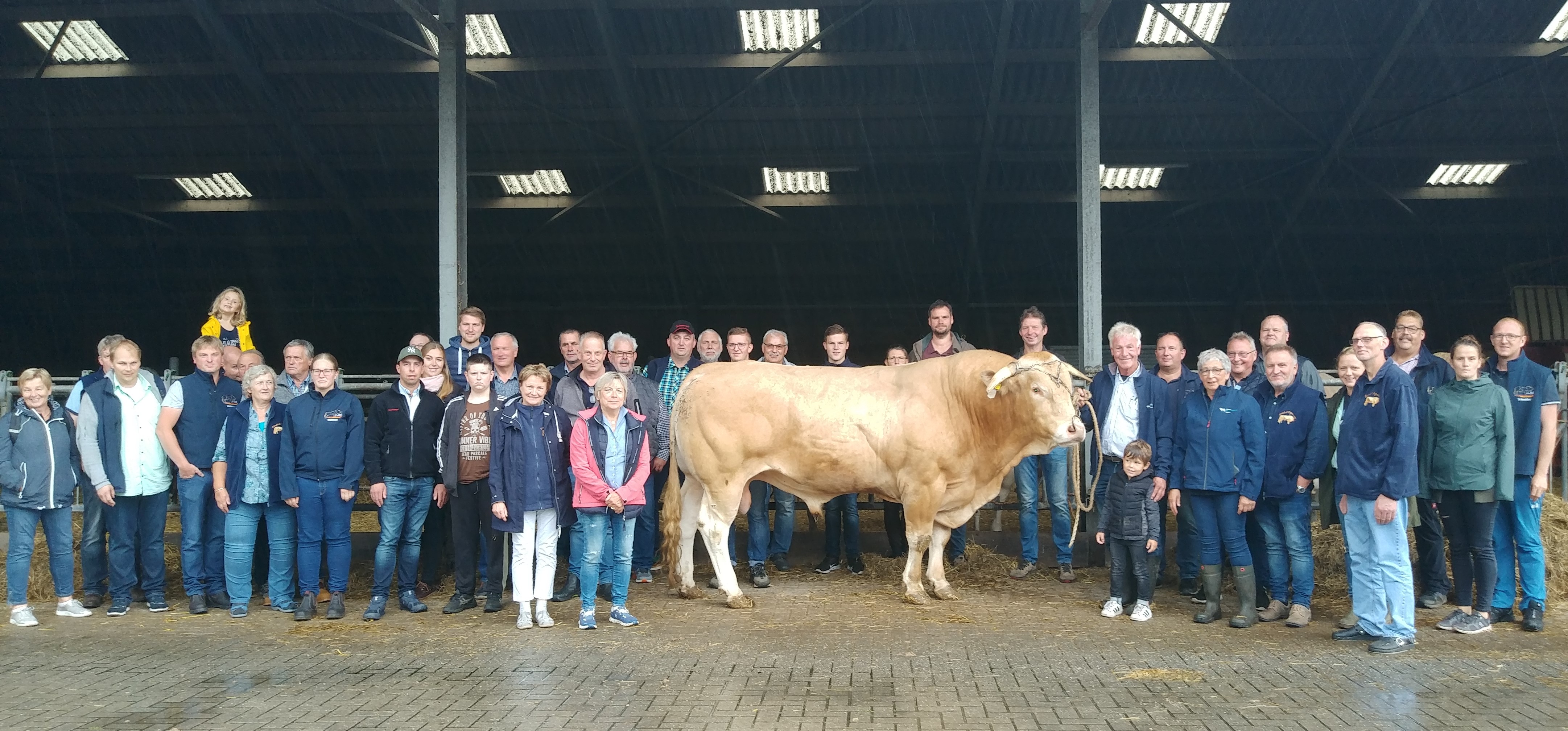 Duitse Blonde d'Aquitaine fokkers op bezoek bij Nederlandse collega's