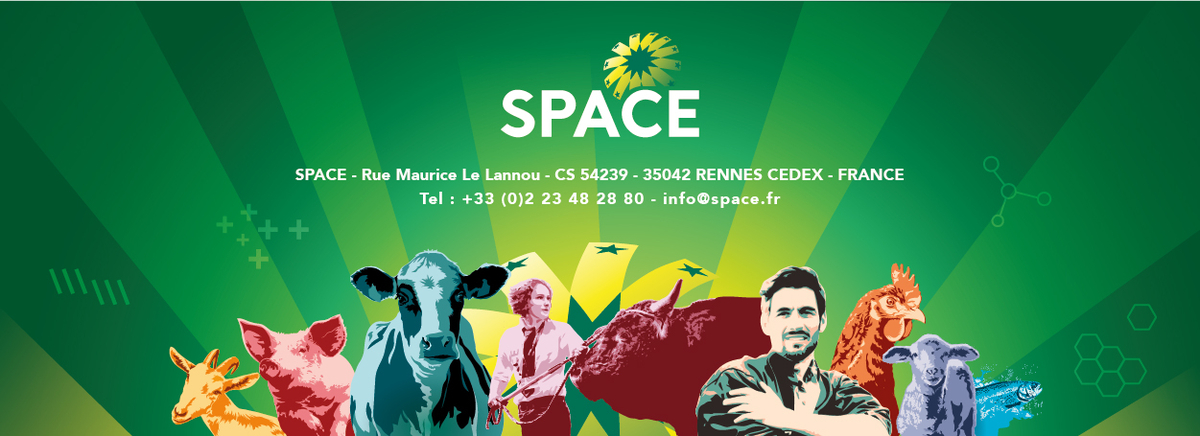 Video Blonde d'Aquitaine keuring SPACE