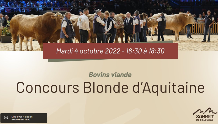 Blondekeuring LIVE op de Sommet de L'Élevage in Cournon