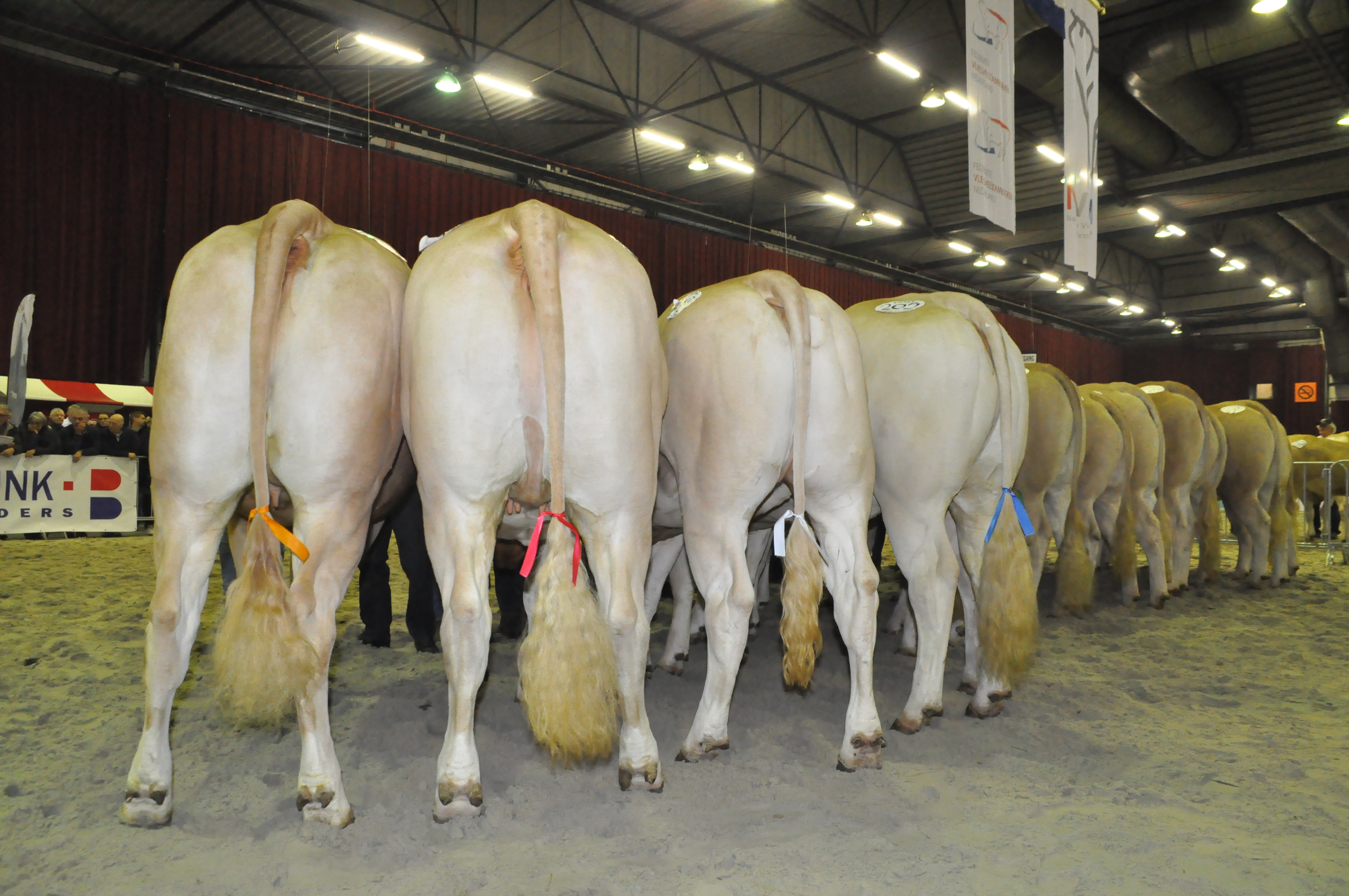 Opgave lunch op de NVM