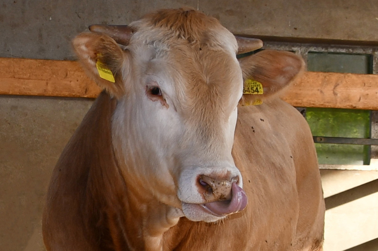 Impressie nieuwe lichting COT