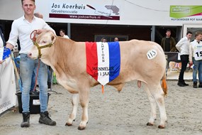 Soldaat van de Woeste Hoeve Kampioen (2)