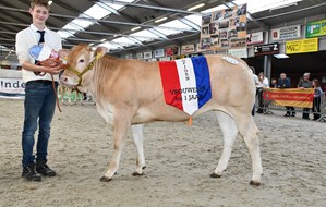 Surprise van de Woeste Hoeve Kampioen
