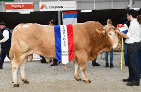 Orage Kampioen