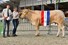 Orange Kampioen