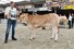 Miss Futur Fierba Selune van de Woeste Hoeve