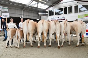 groep De Woeste Hoeve