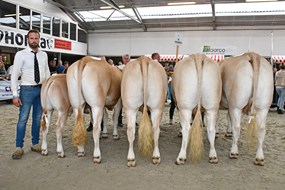groep Boerlanderij
